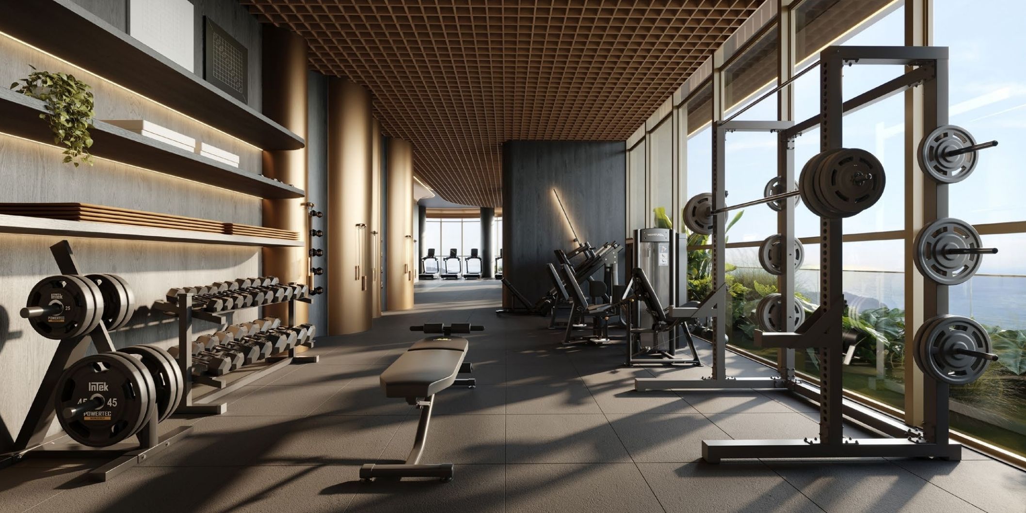 RARO — Academia (ângulo 2)